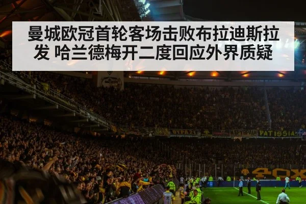 football stadium night crowd